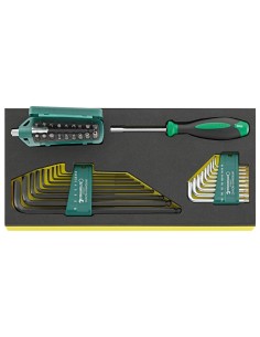 Destornilladores de dos codos en bandeja TCS TCS 1201/4000/10766/38 - Stahlwille