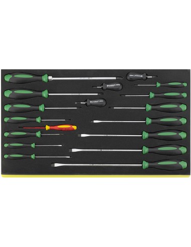 Juego de 18 destornilladores DRALL+ en bandeja TCS TCS 4620/4660VDE - Stahlwille