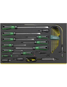 Juego de 24 destornilladores DRALL en bandeja TCS TCS 4724/4840+10767 - Stahlwille