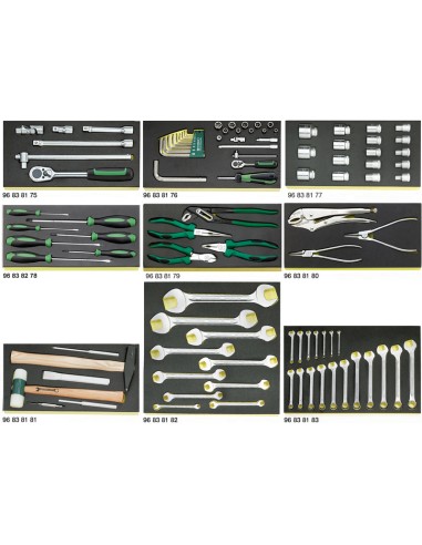 Surtido de herramientas TCS 806/9 TCS - Stahlwille