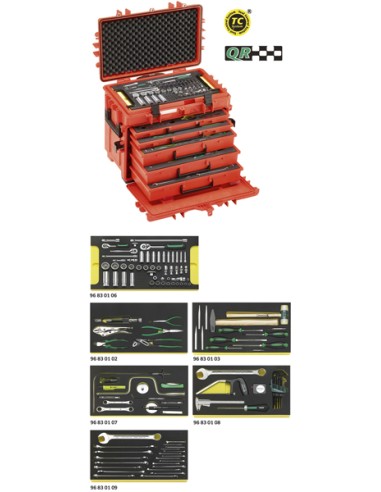 Juego Line Maintenance con trolley de herramientas núm. 13217 13214a WT/LR - Stahlwille